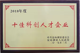 2018淀山湖十佳科创人才企业
